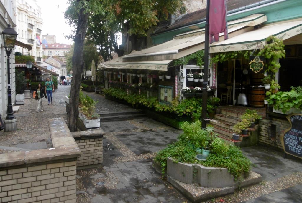 Apartment Nedic Beograd Eksteriør bilde
